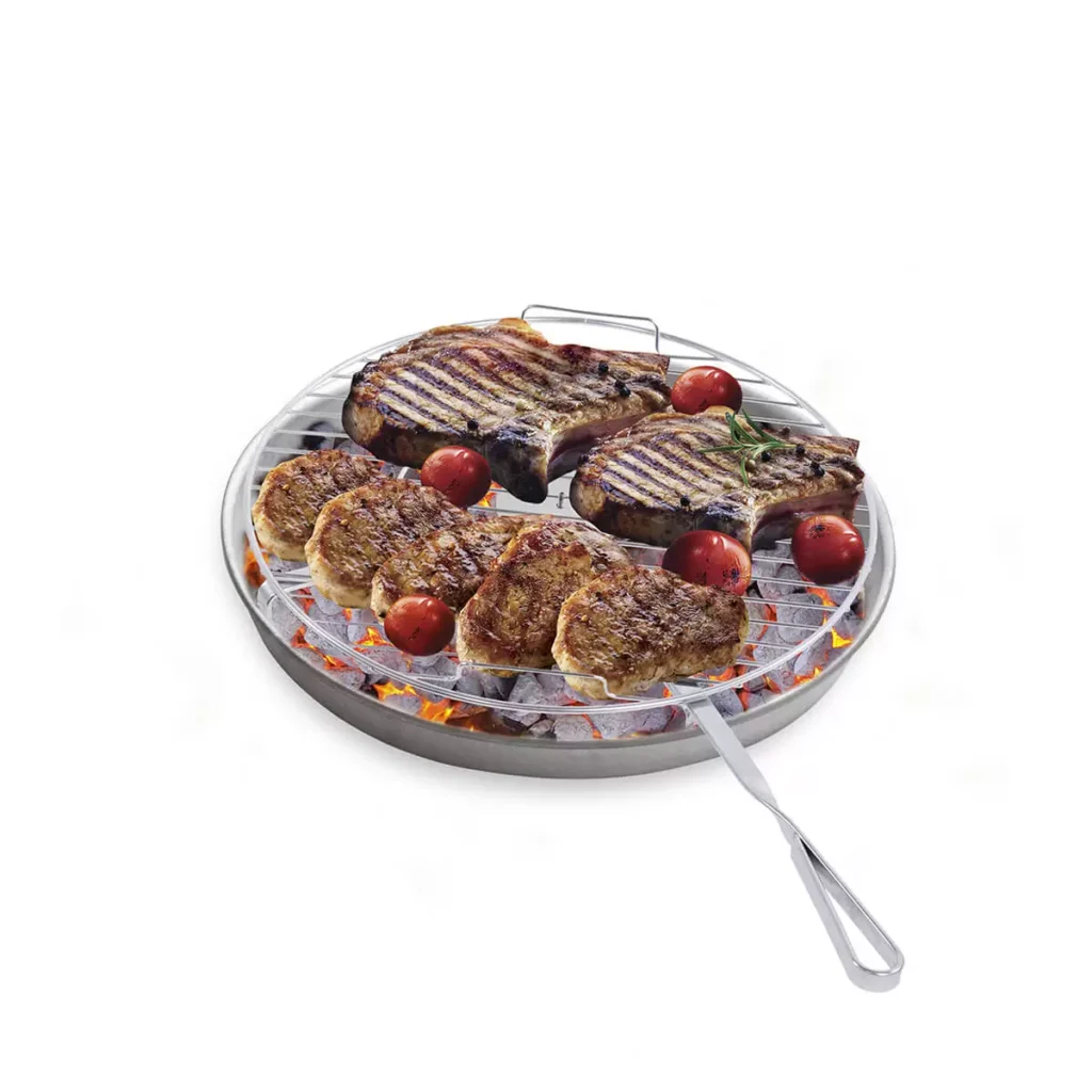 Barbecue Grill With Bbq500